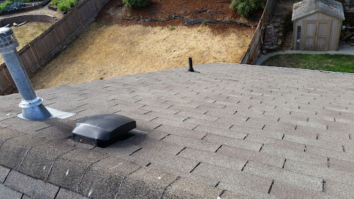 A cleaned and protected roof after moss removal.