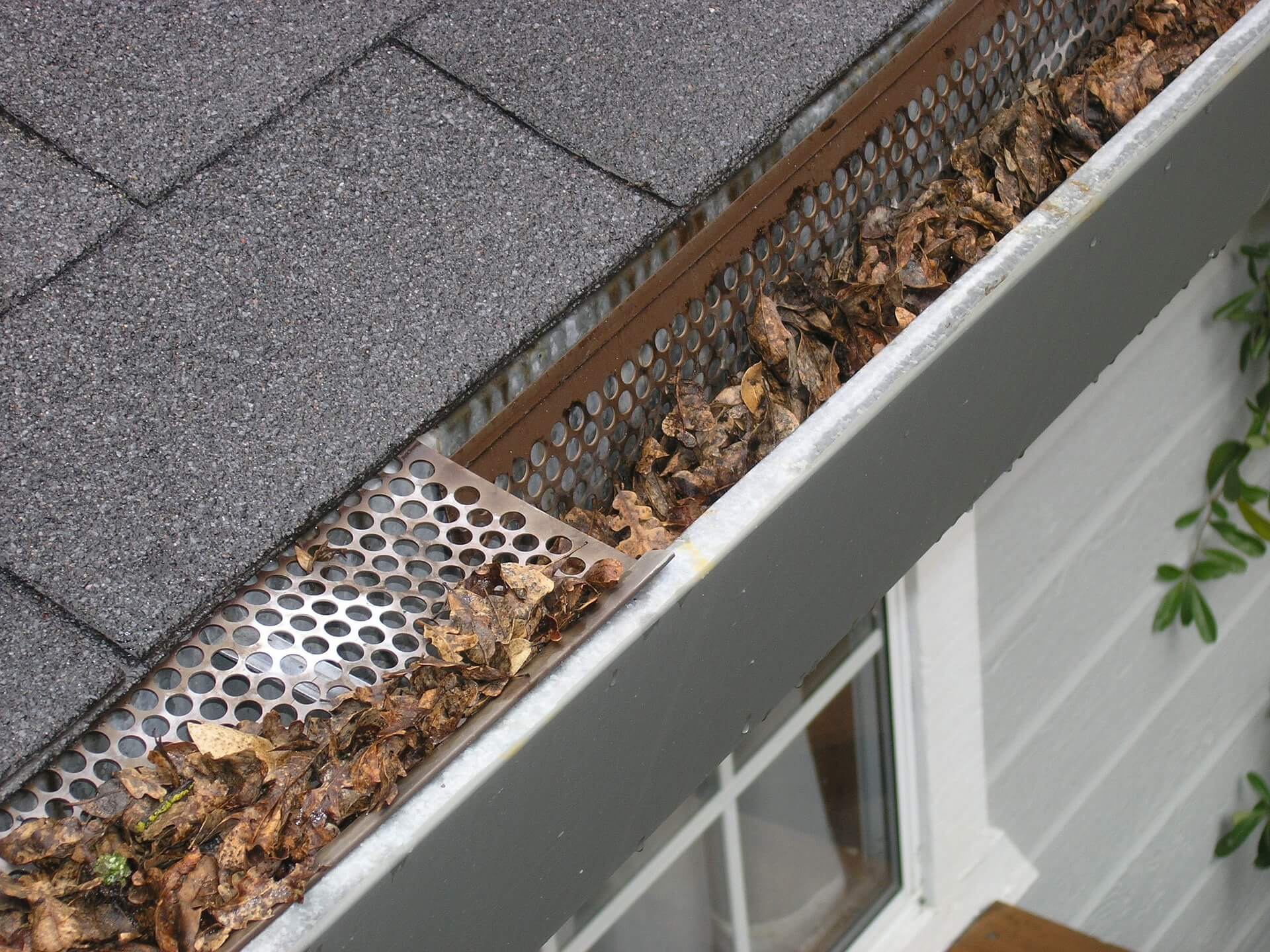 A gutter clogged with debris.