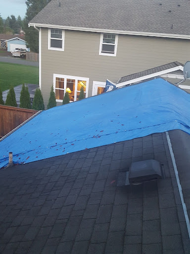 A tarp on a leaking roof.