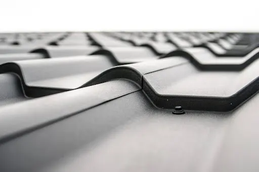 Black and white photo of roof tiles