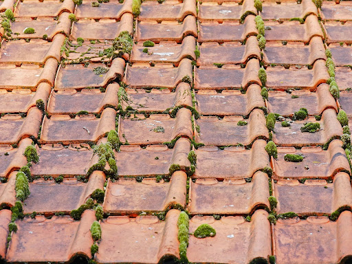 Clay roof tiles with moss