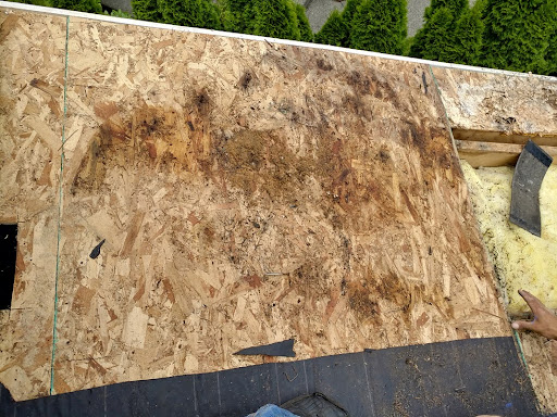 An old roof being torn off and replaced.