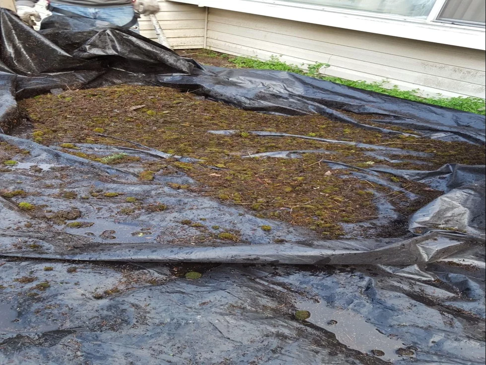 The moss cleaned off a roof.