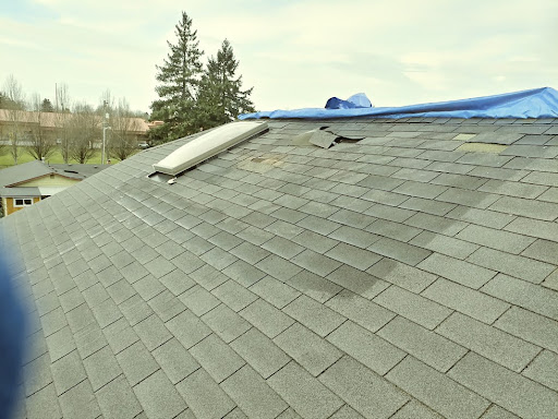 Working on a roof that needs leak repairs.