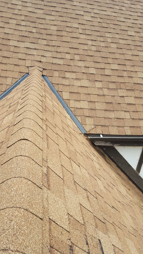 A professionally treated roof.