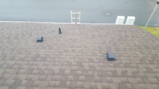 A freshly cleaned and treated roof.