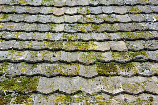 A roof in need of moss removal.