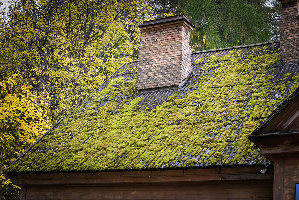 A roof with moss issues.